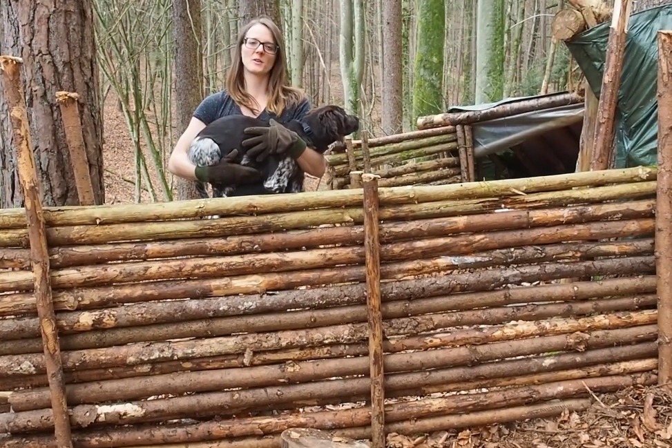 生存专家莉莉,丛林搭建实木庇护所,有条件我也想试试