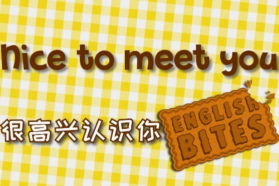 中式英语扫雷nicetoseeyou你用对了吗