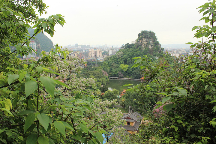 醉美风景莫过柳州鱼峰山 景色美美食更美 还有品牌酒店等您体验!