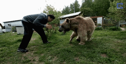 放老虎狮子出来,俄罗斯人又怎么会害怕?