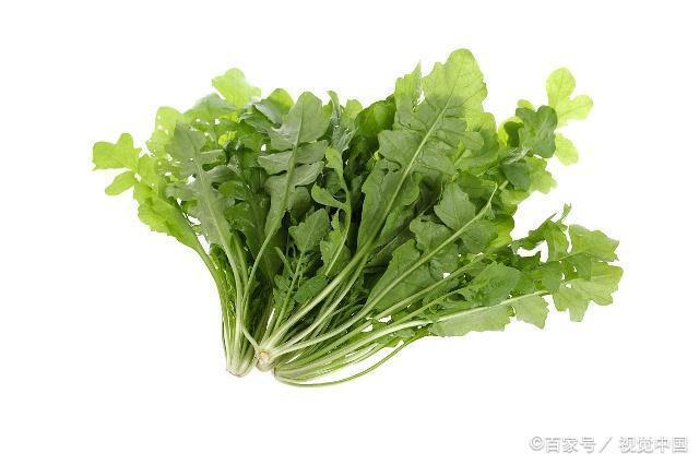 荠菜  