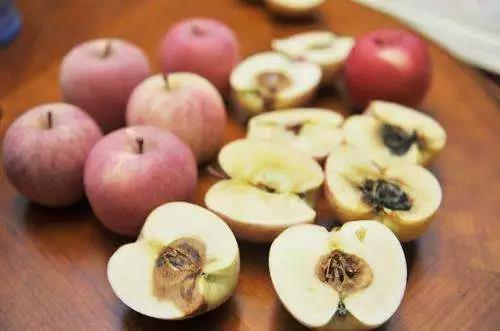 ,火龙果的果皮含有非常珍贵的营养物质花青素火龙果皮发霉了还能吃吗
