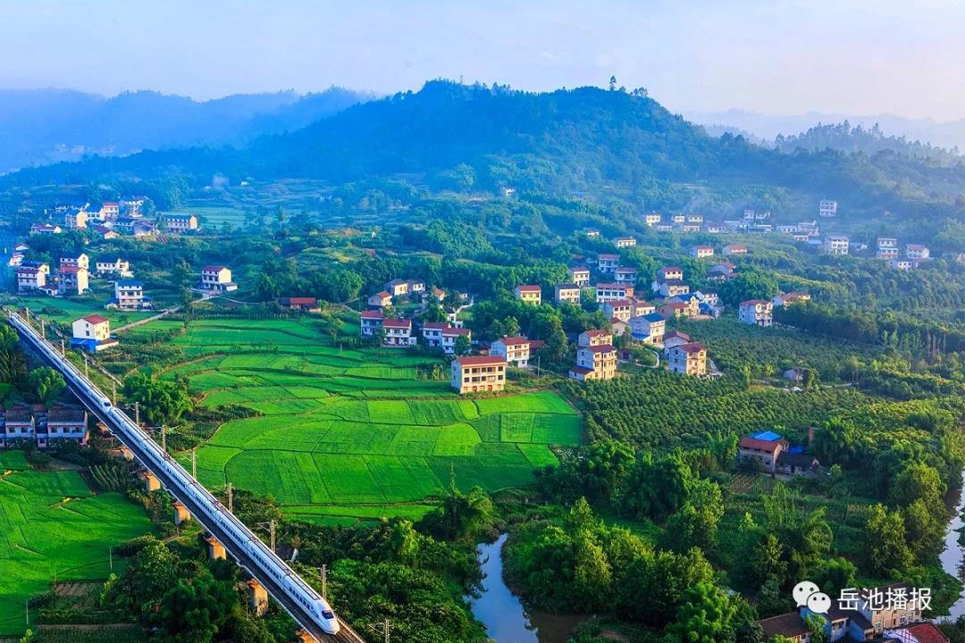 岳池美丽乡村