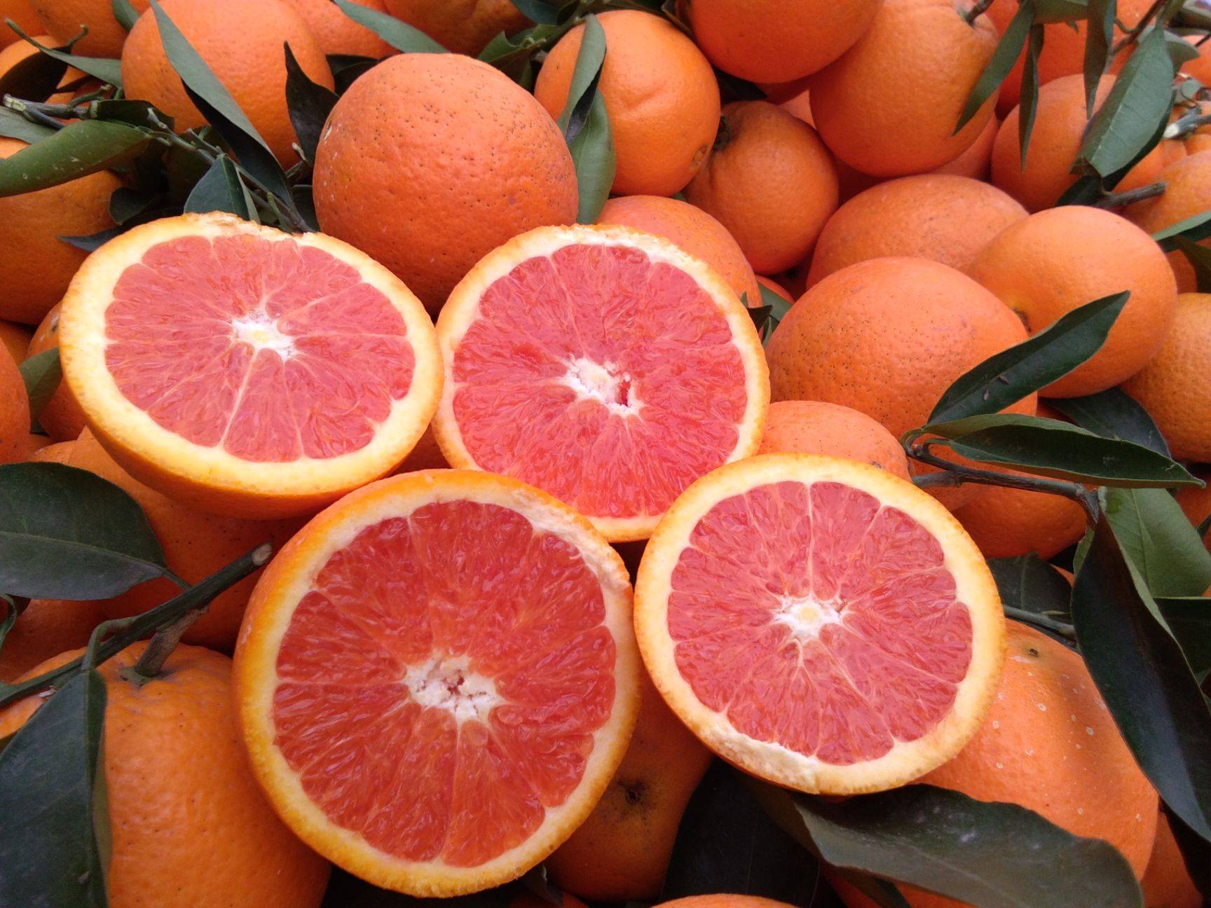 血橙在护肤上有什么功效?