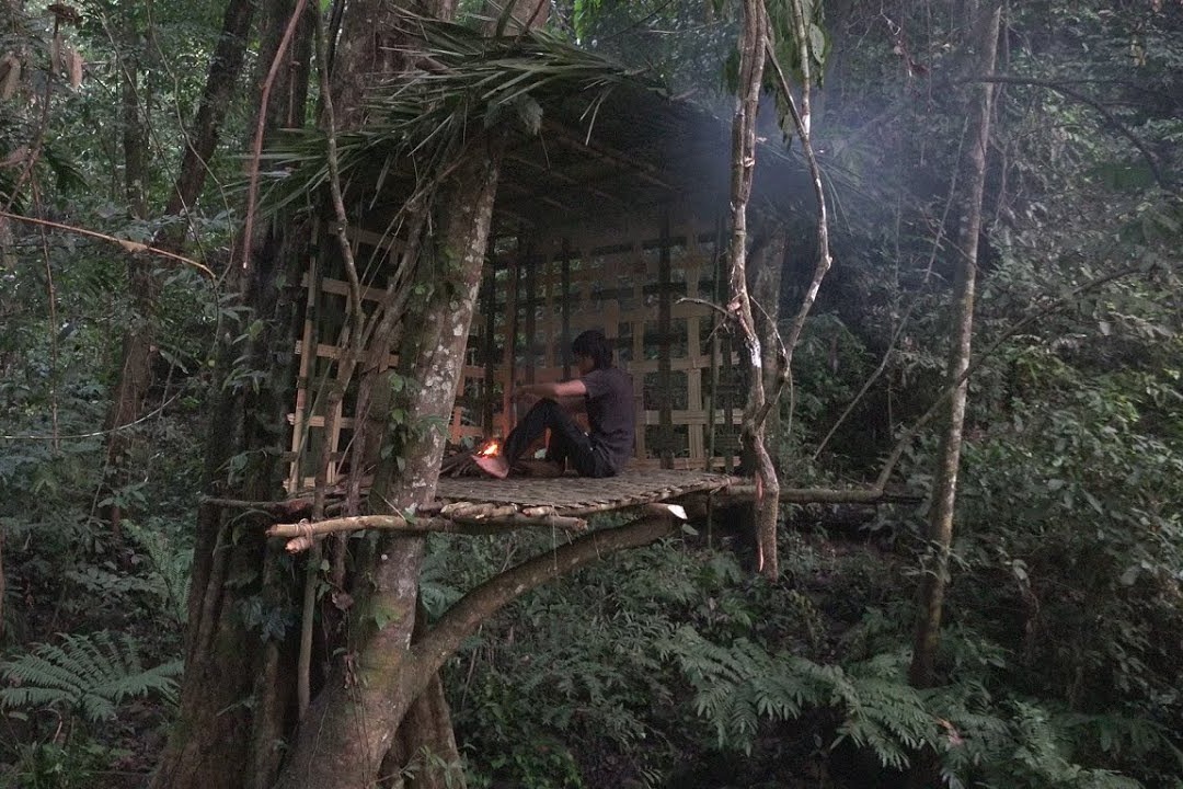 野外生存,丛林搭建树屋,遮风挡雨没问题