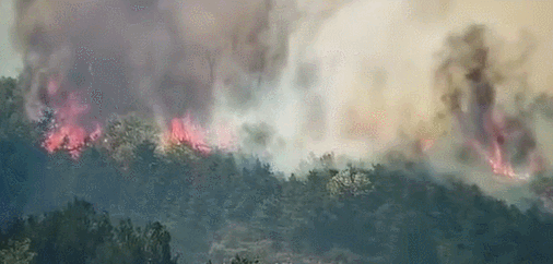 新乡万仙山发生森林火灾,500人紧急扑救,景区已暂停营业 2020年5月3日