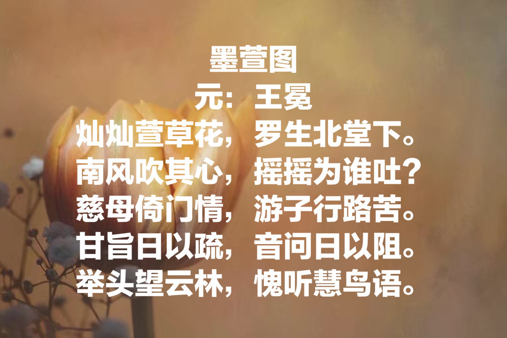 墨萱图 元:王冕 灿灿萱草花,罗生北堂下 南风吹其心,摇摇为谁吐?