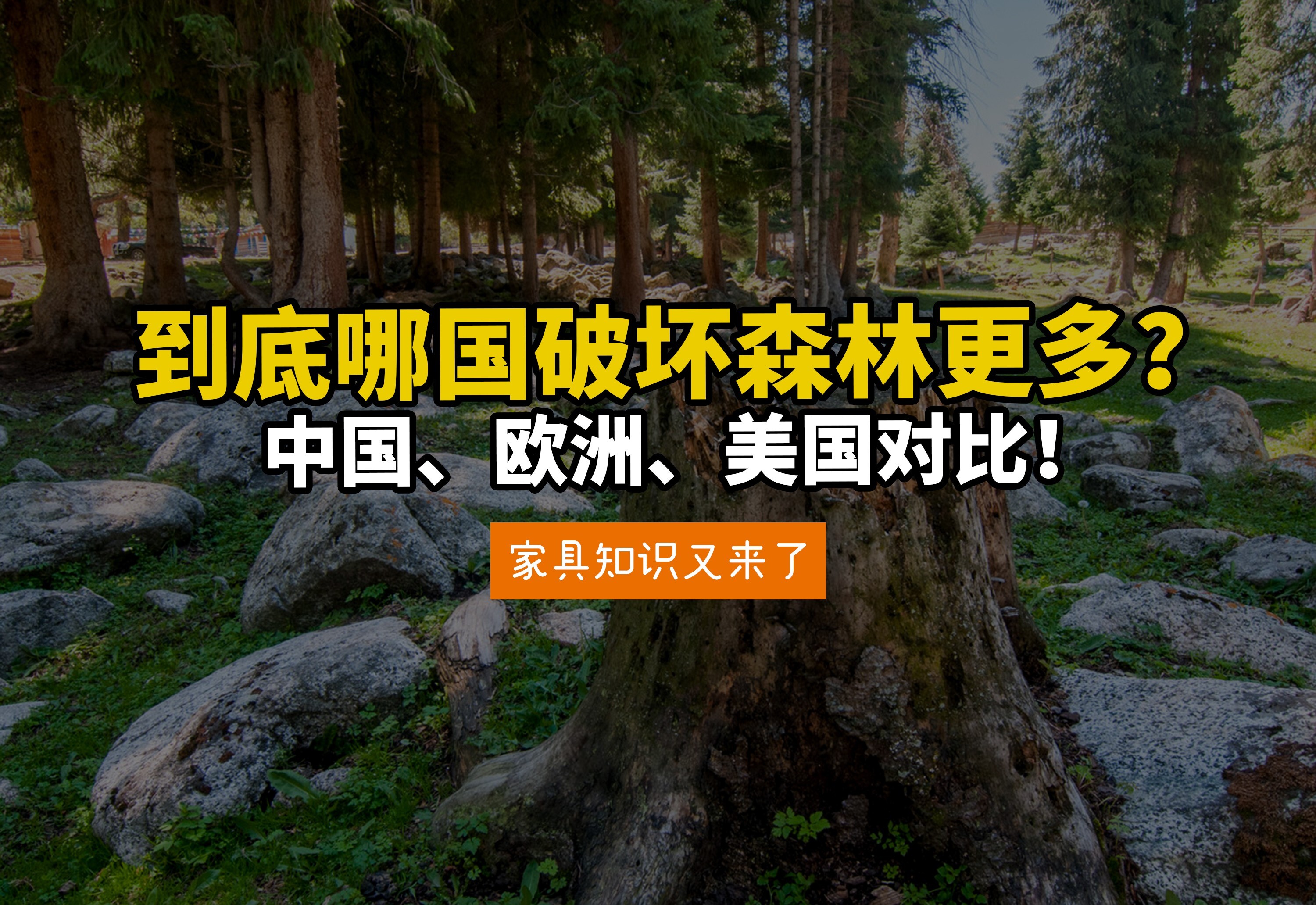 中国破坏森林？到底谁在消灭世界森林？美国欧洲中国木材消耗对比
