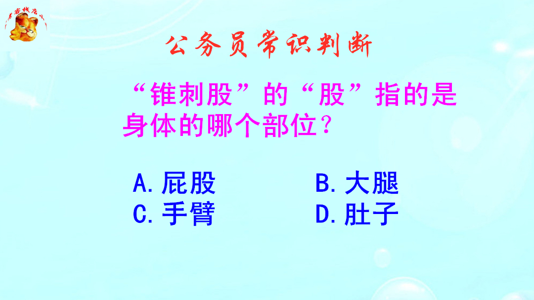 公务员常识判断，锥刺股的股指哪里？别闹笑话啦