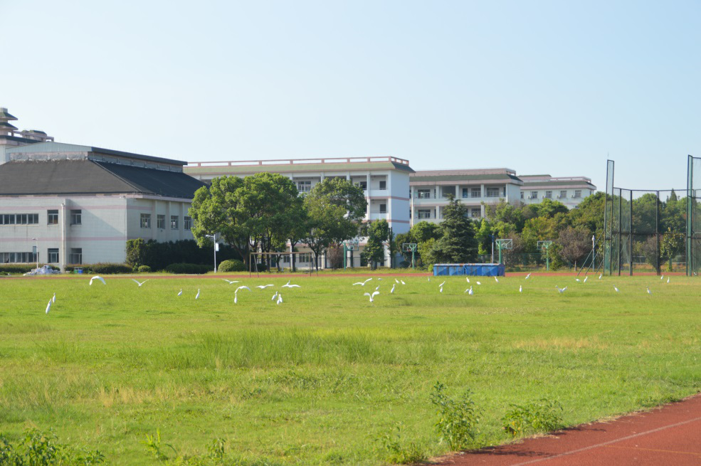 绍兴市柯桥区越崎中学:喜迎校园采摘节 用劳动收获喜悦