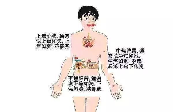 下焦:指脐以下至二阴部位,包括肝,肾,大小肠,膀胱,女子胞等.