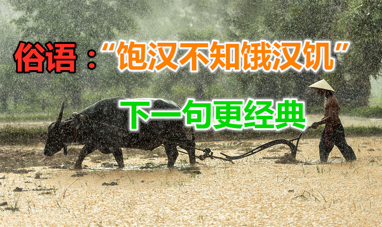 俗语“饱汉不知饿汉饥”下一句更经典，道出了人间的沧桑