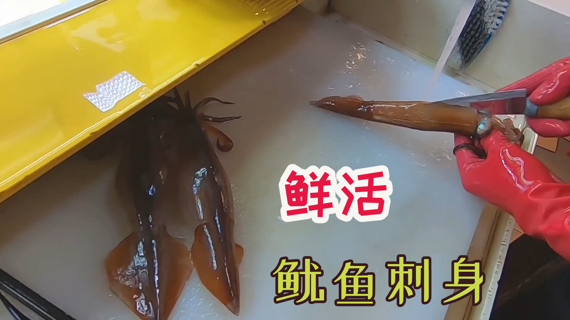 韩国大厨制作活鱿鱼刺身，去墨切丝生吃鲜脆爽口！