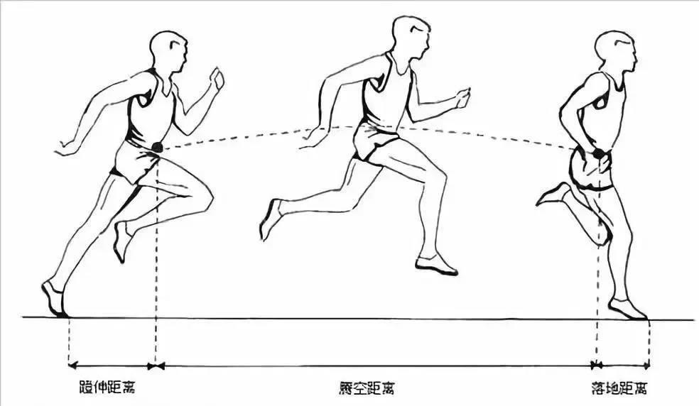 运动保:跑步时,应该前脚掌还是后脚掌落地?__凤凰网