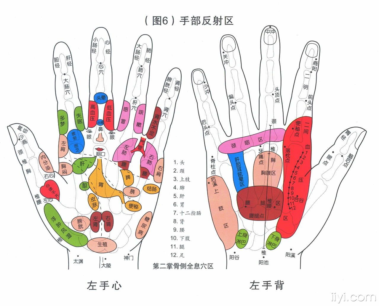 看看手足反射区