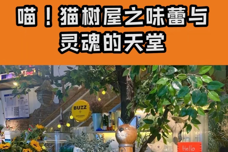 喵猫树屋之味蕾与灵魂的天堂