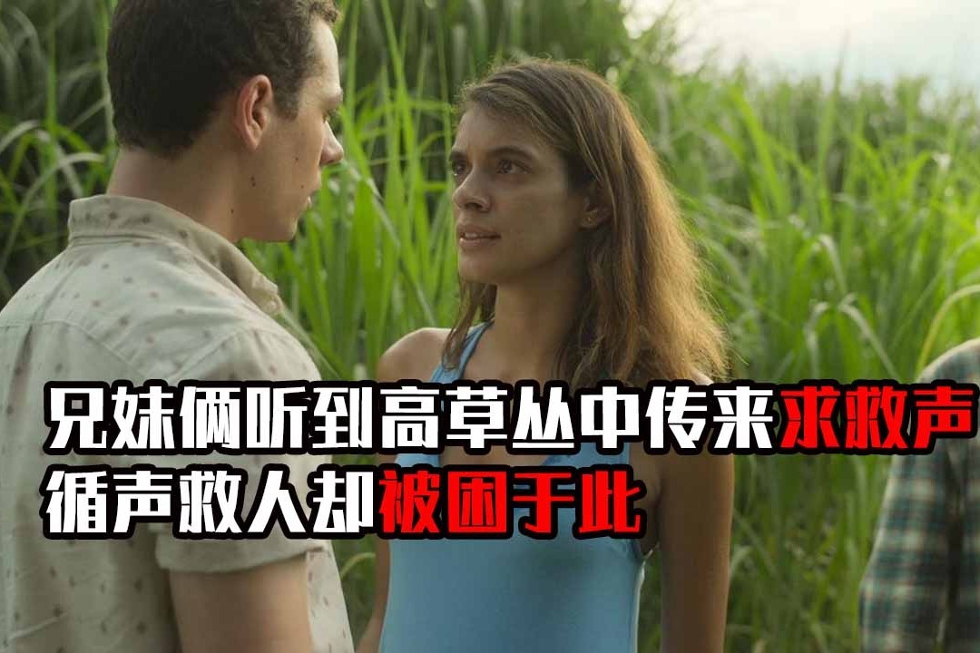 小涛电影解说几分钟看完美国恐怖电影高草丛中