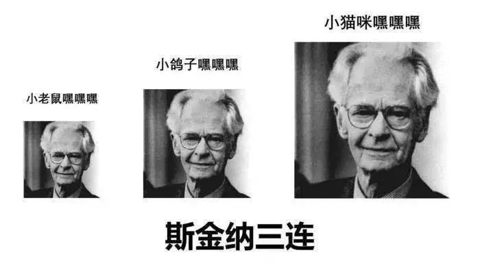 行为主义学派 华生(行为主义心理学推动者 斯金纳(人类可以通过操作