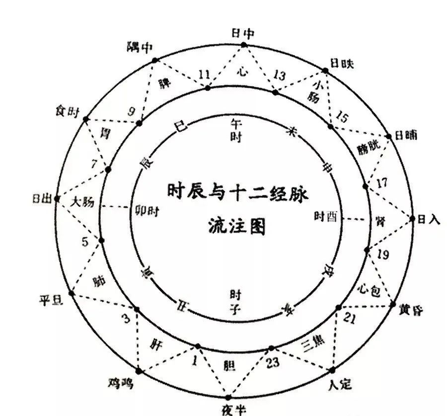 中医子午流注,十二时辰养生法,调理脏腑气血阴阳