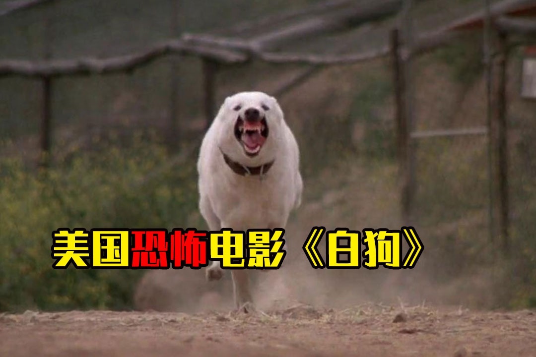 夜晚三点半(打码版:几分钟看美国恐怖电影《白狗》