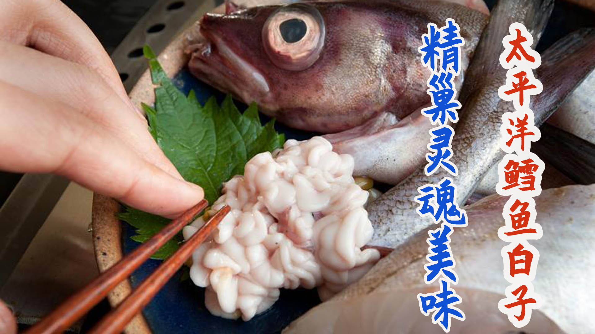 日本厨师分割太平洋鳕鱼取白子，焯水裹粉油炸外酥里嫩！