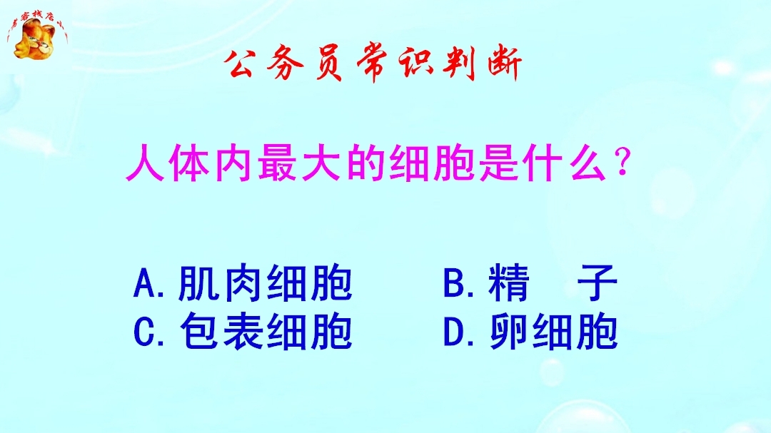 公务员常识判断，人体内最大的细胞是什么？难倒了学霸