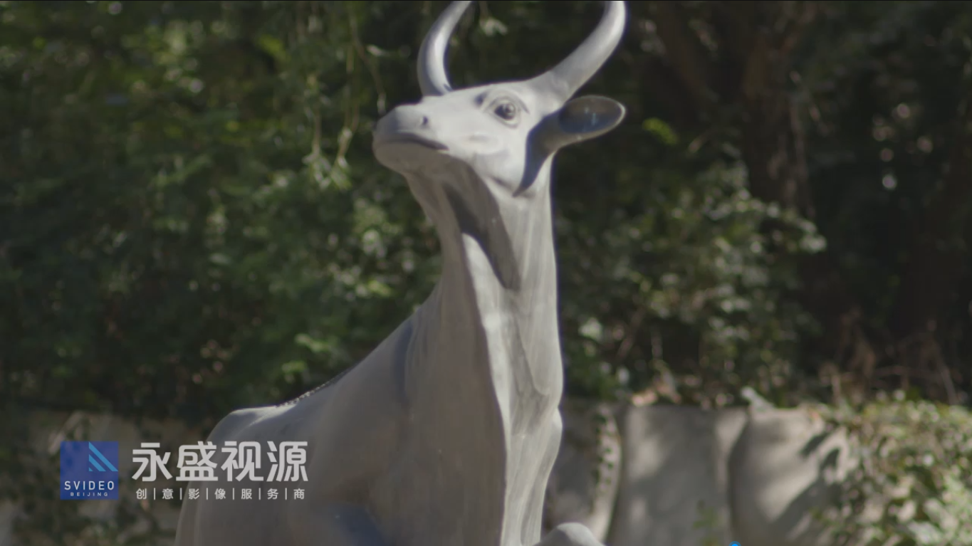 铜牛公司，钢铁企业宣传片视频案例，永盛视源