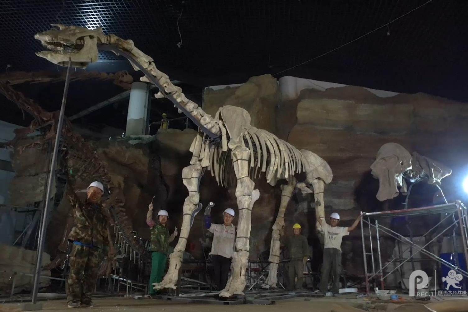 修复3400万年前的准噶尔巨犀为它重塑金身