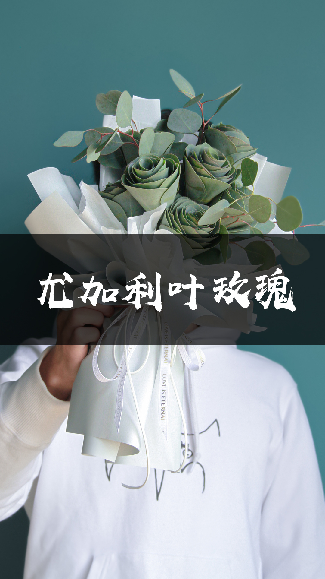 尤加利叶玫瑰
