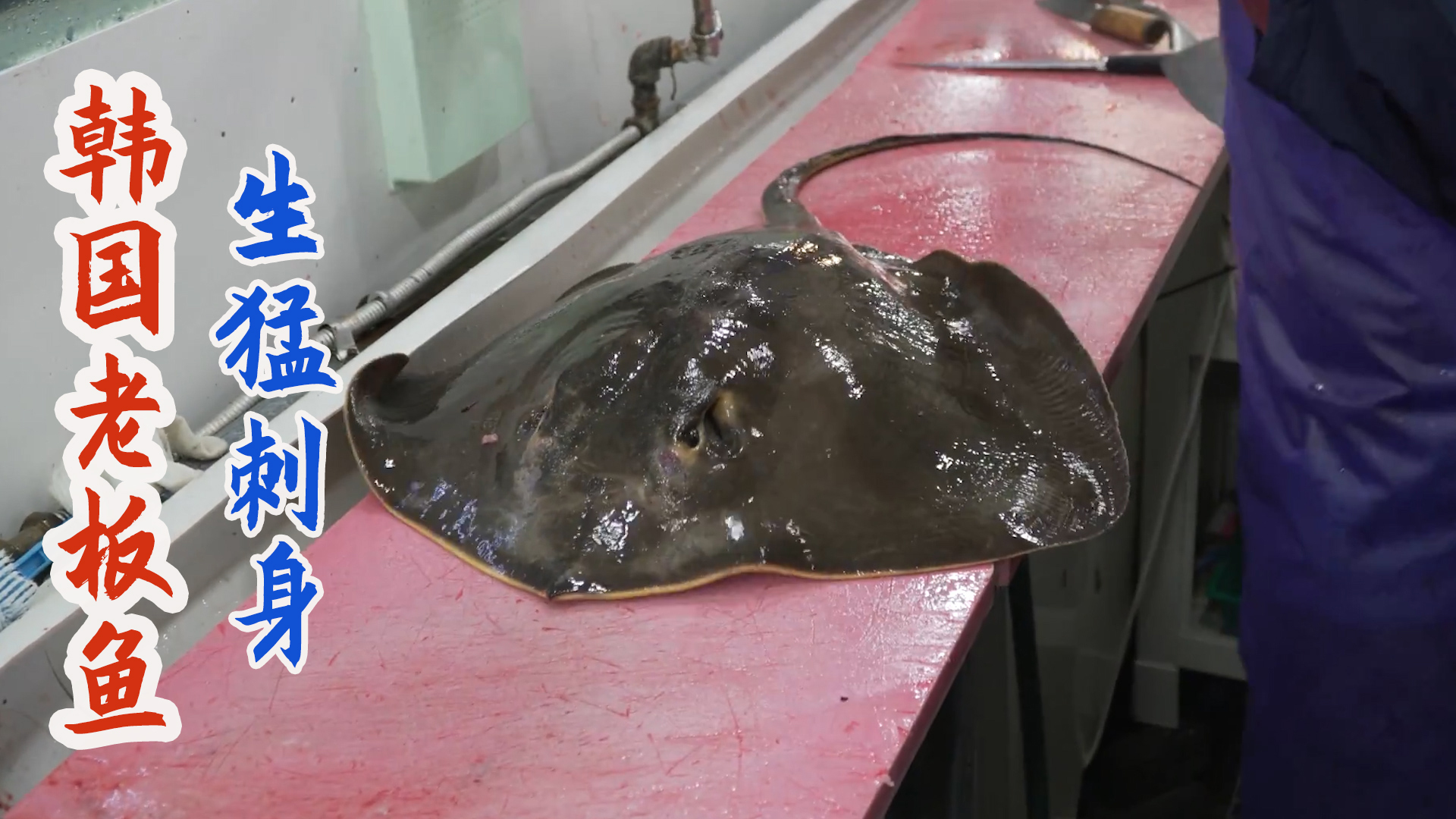 韩国厨师分割怪异老板鱼，剥皮切片做刺身卷泡菜吃！