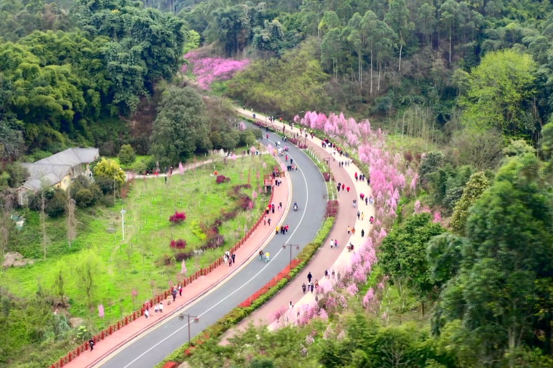 云游乐山森林在城市中城市在山水间