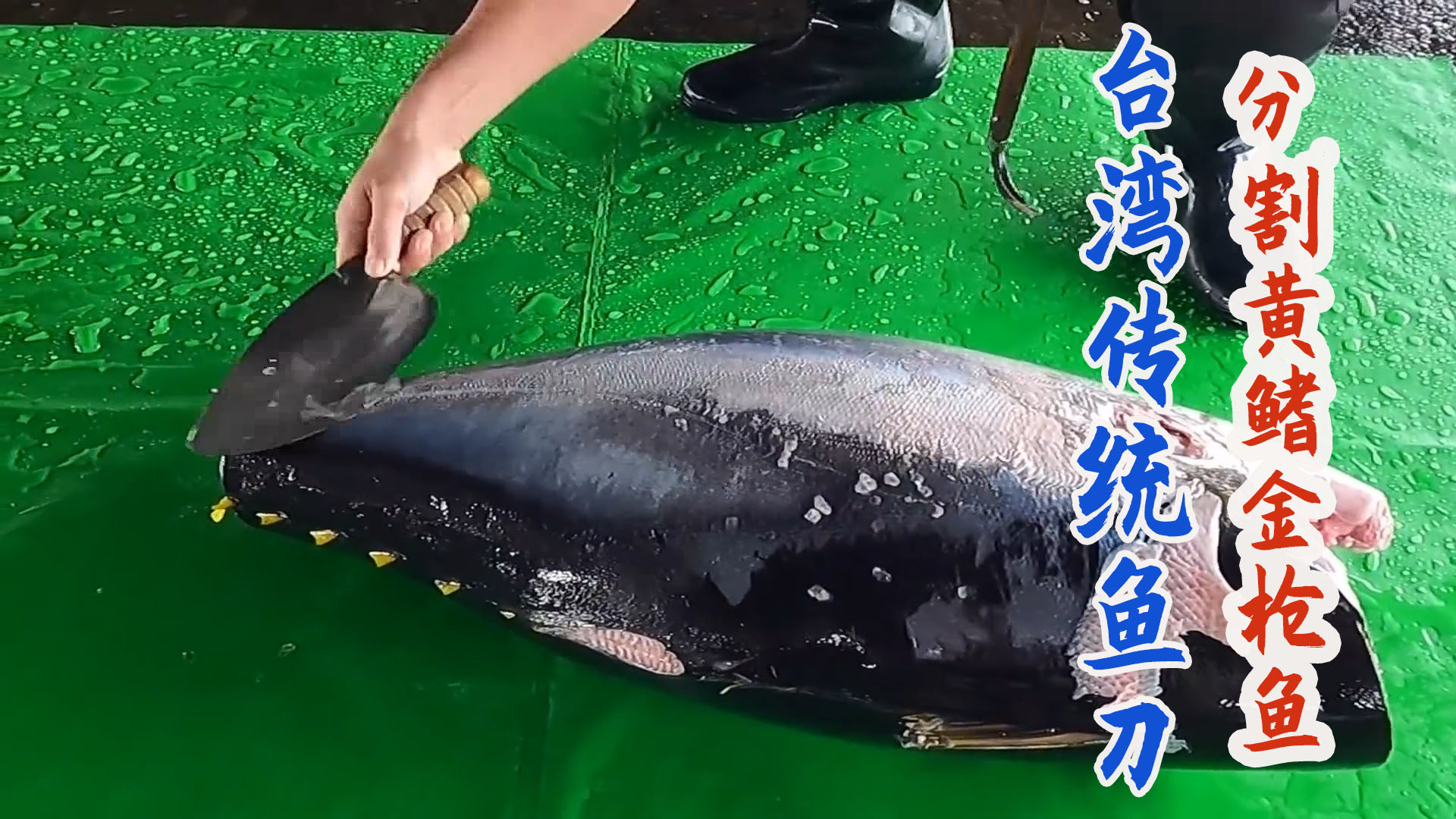 台湾厨师用传统鱼刀分割黄鳍金枪鱼，切片做刺身如牛肉里脊！
