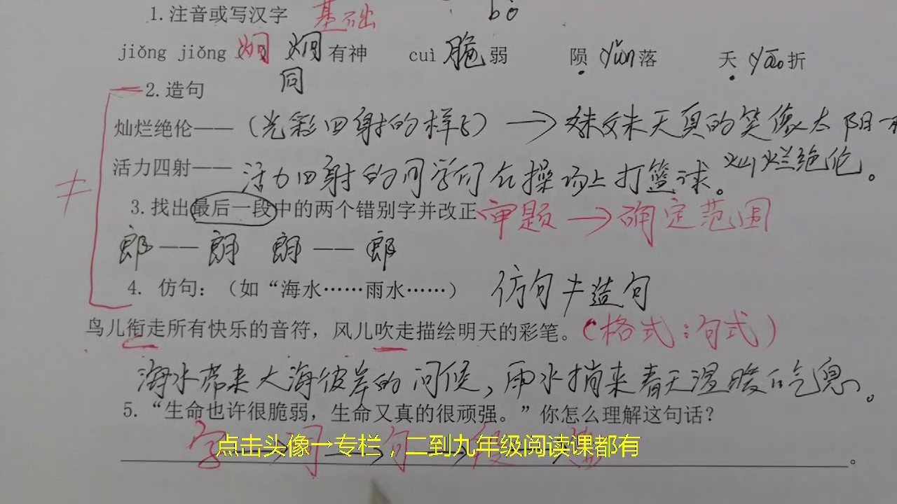 家长着急，平时很努力语文阅读成绩却很差，老师来教你方法