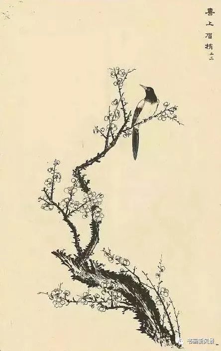 喜上眉梢   喜鹊,梅花