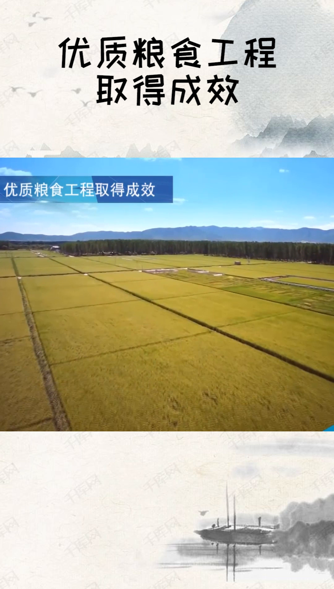 优质粮食工程取得成效