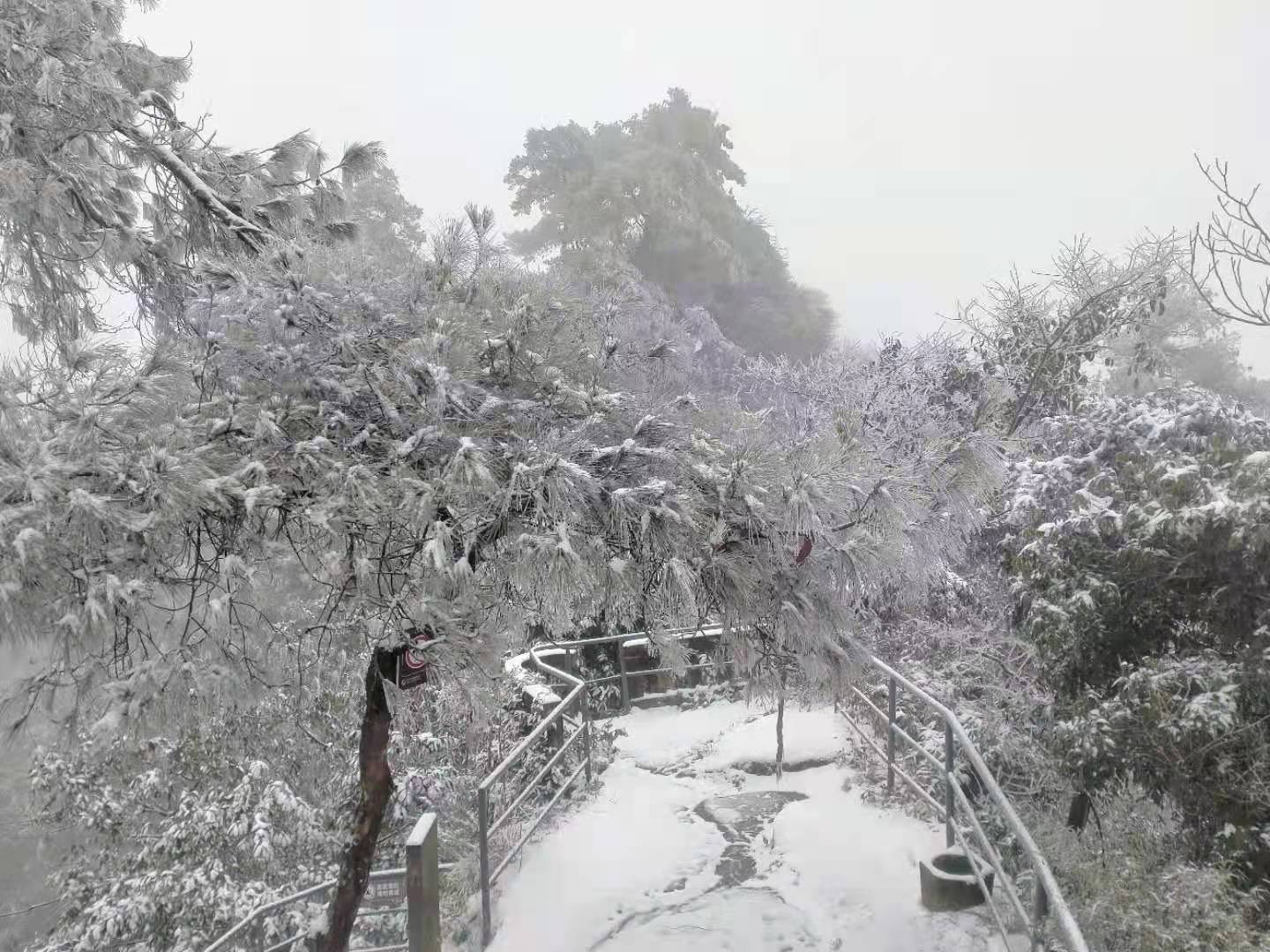 巴南圣灯山下雪啦!重庆主城赏雪一小时不到__凤凰网