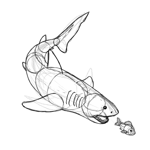 教你超写实鲨鱼板绘画法教程!