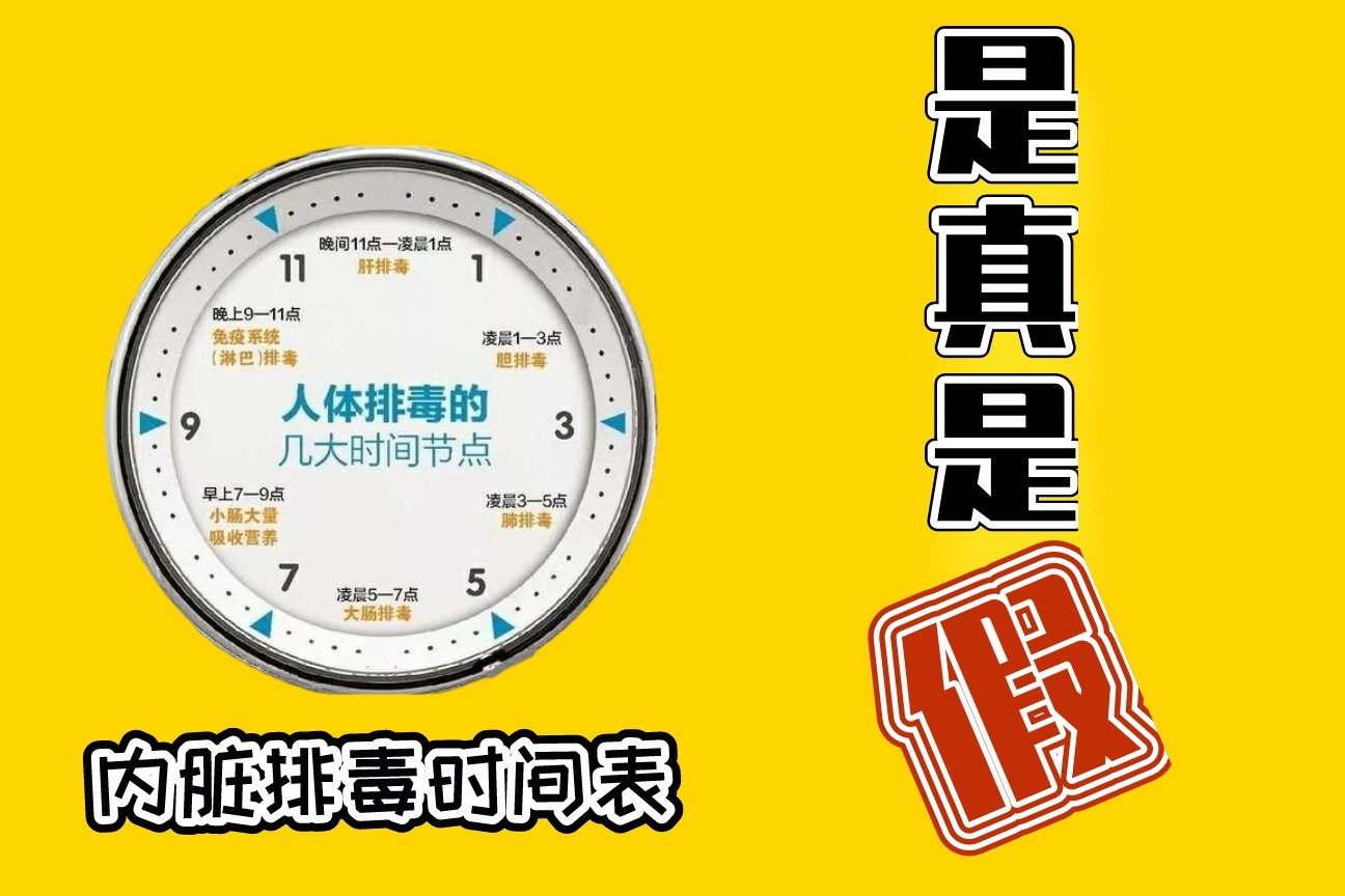 火遍家人微信群的"内脏排毒时间表",真相让人大跌眼镜