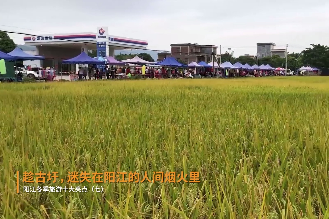 逛古圩,迷失在阳江的人间烟火里