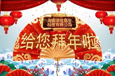 2021年海派集团新年祝福视频