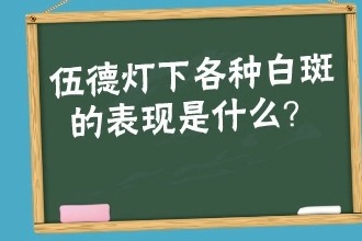 伍德灯下各种白斑的表现是什么样的