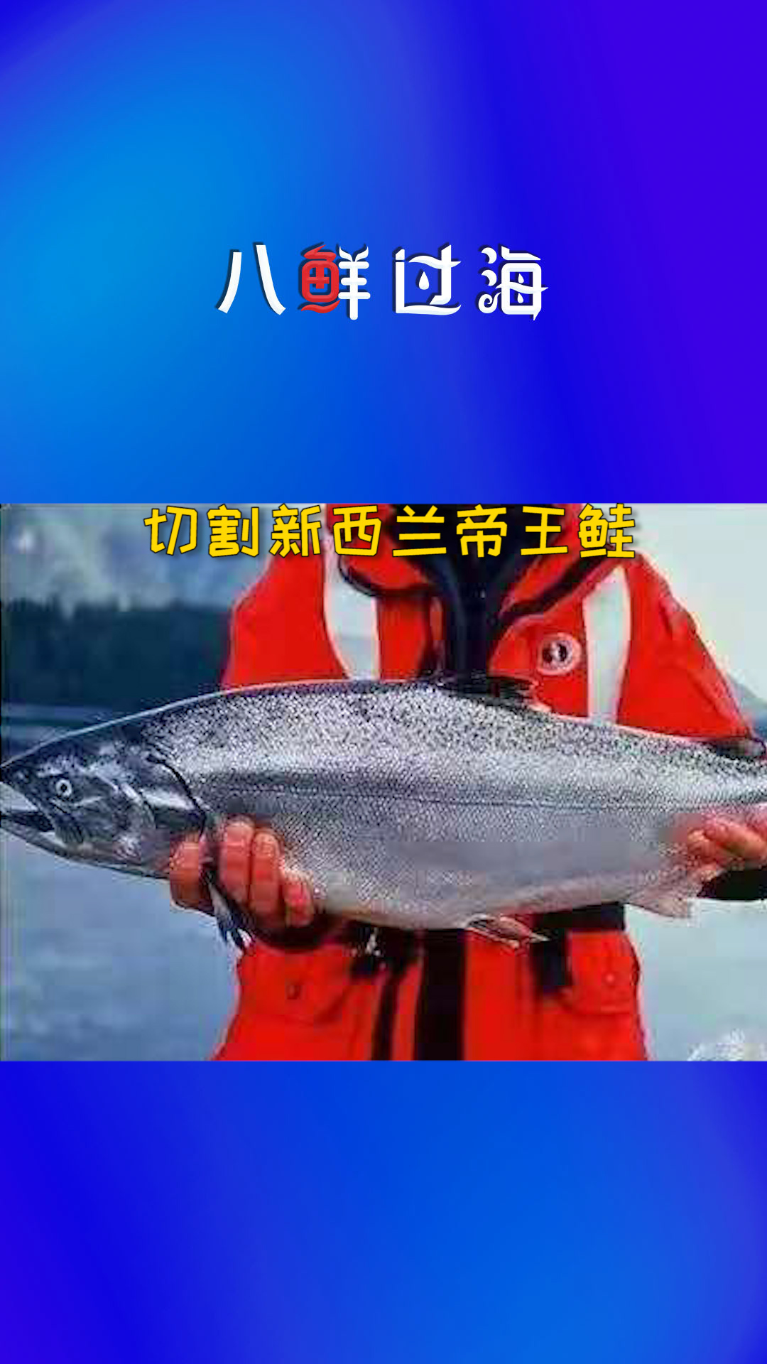 新西兰库克山淡水养殖帝王鲑，口感细腻紧实