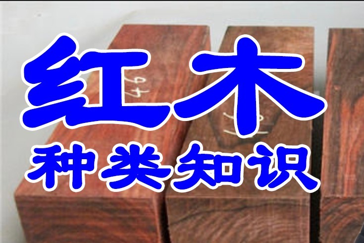 红木种类知识第一集