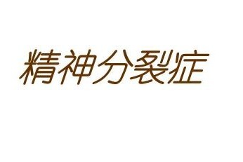 陈诗军解答邮递员不称职导致出现精神分裂2