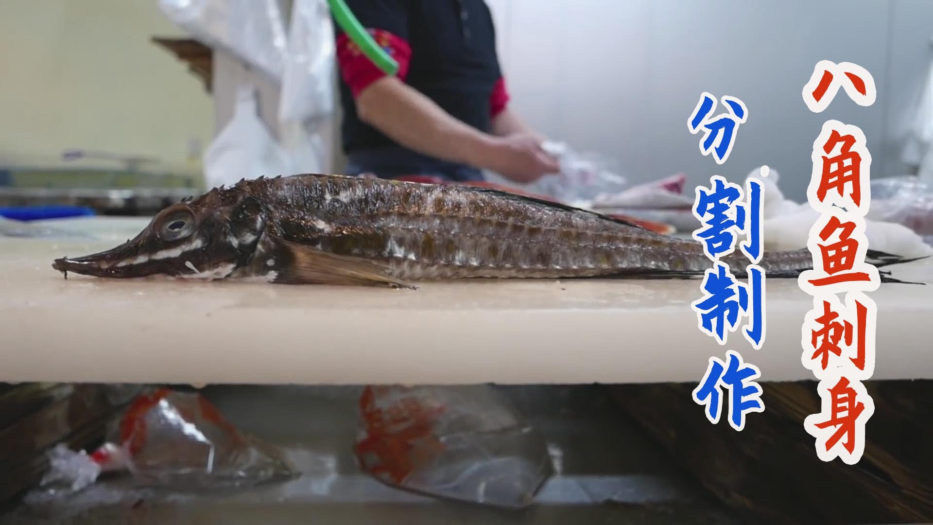 日本厨师分割北海道八角鱼,快刀切片做高级刺身!