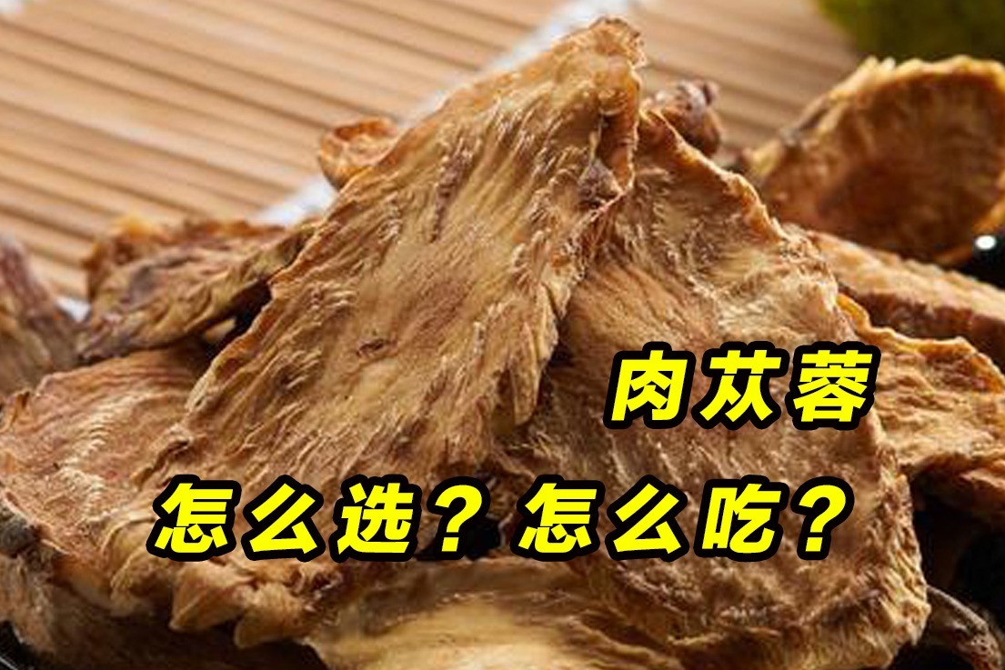 肉苁蓉怎么选怎么吃