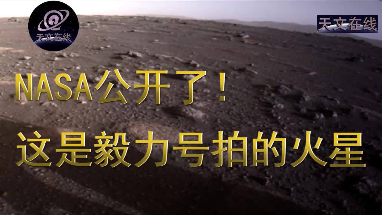 这是毅力号拍的火星表面