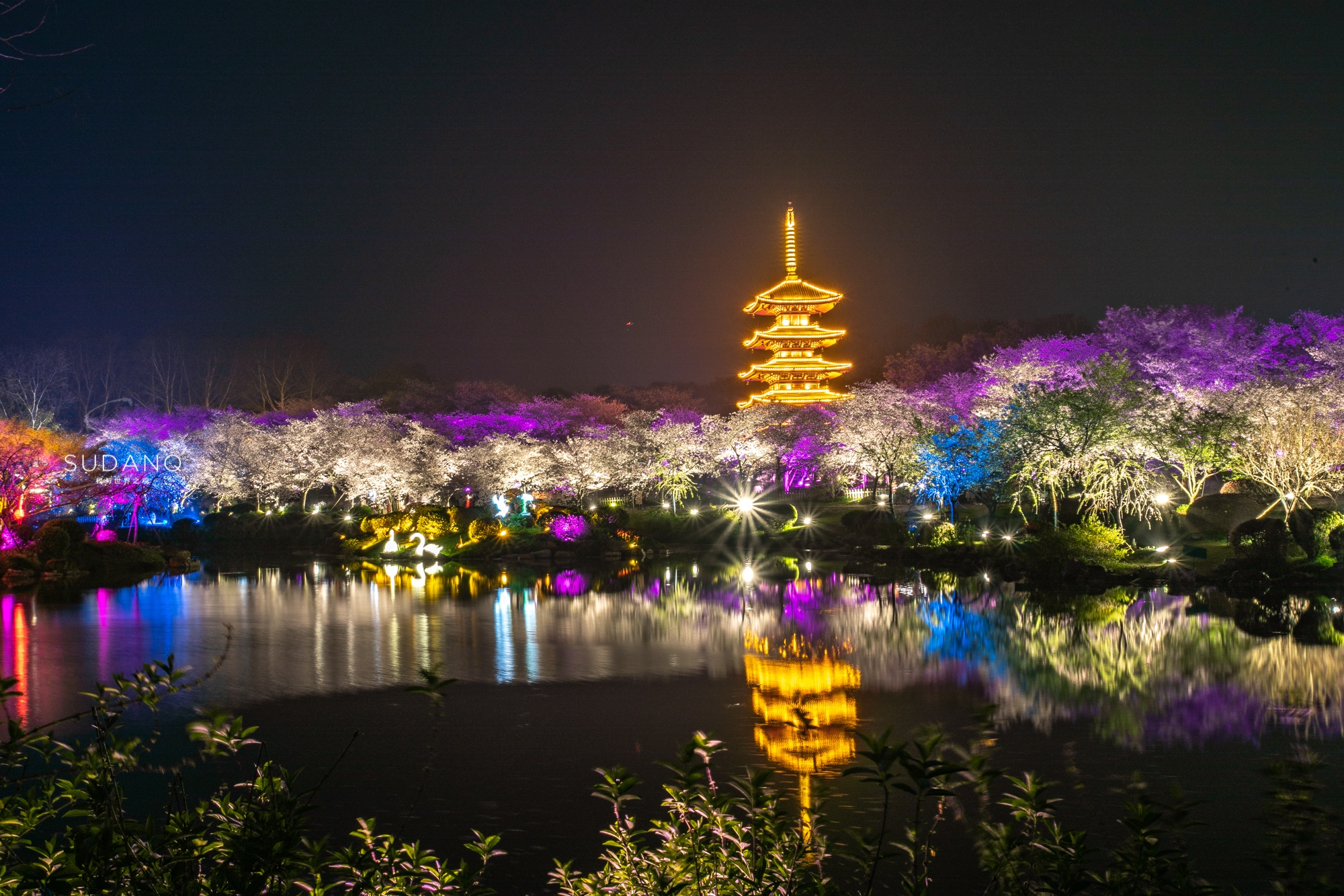 如果说,武大樱花是武汉春天最美的文案,那么东湖磨山樱园,则是这春天