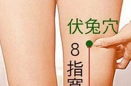 6,止腿疼伏兔穴,膝眼穴,解溪穴