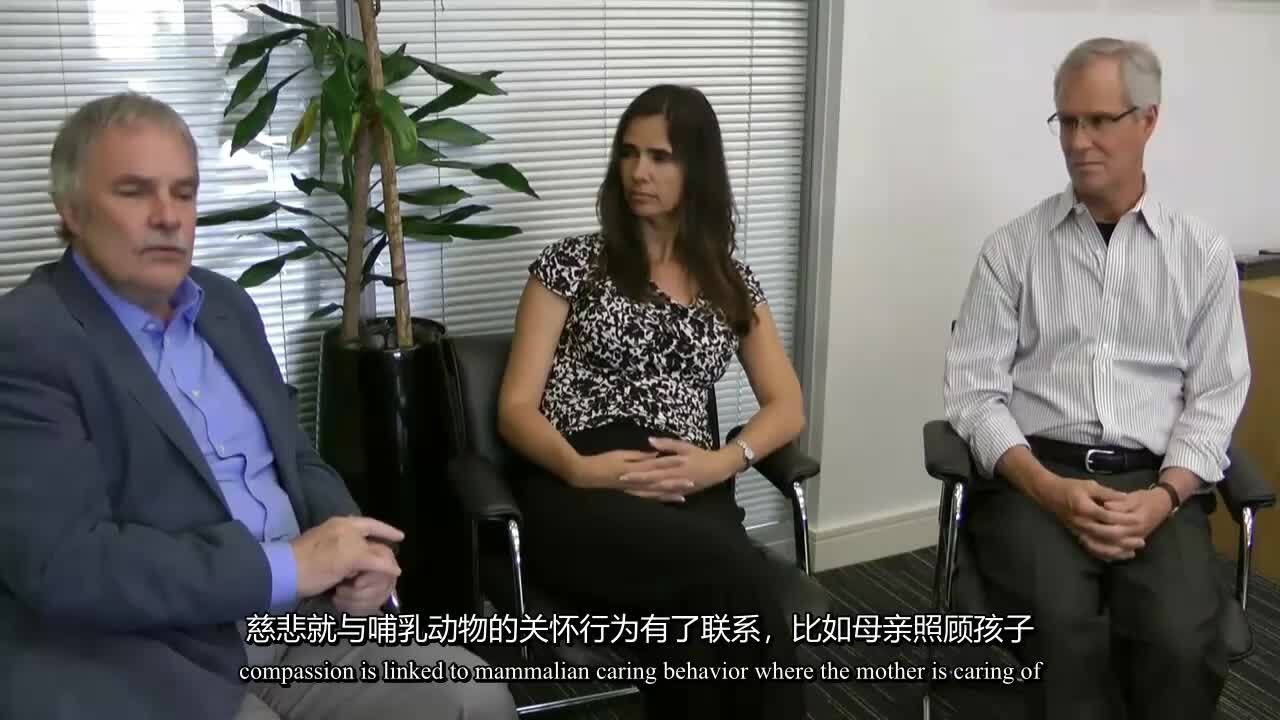 CFT vs MSC：慈悲干预取向两大流派创始人对话访谈